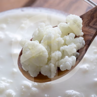 kefir